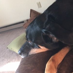 Meet your Posher, Jacob